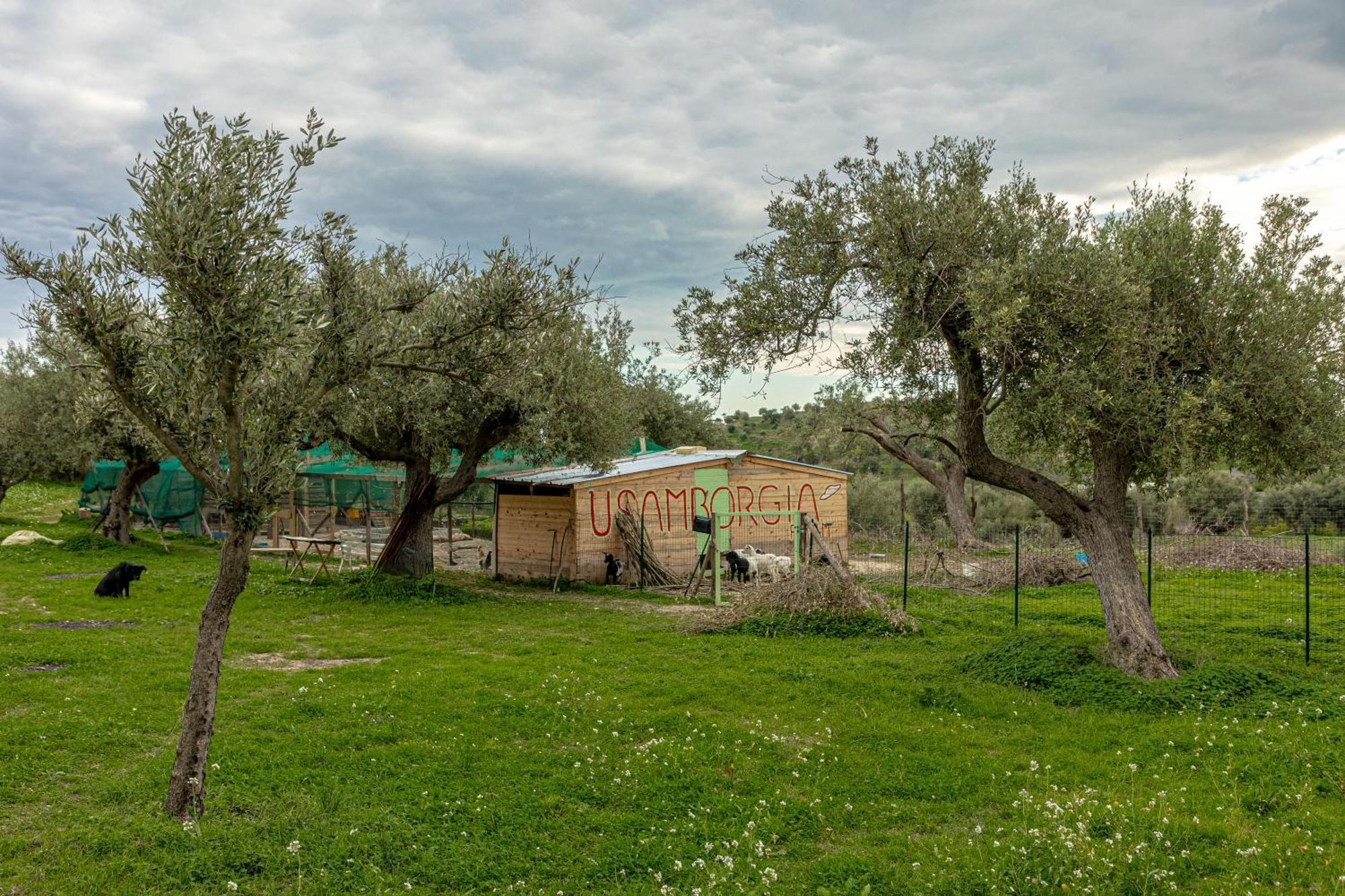 Гостевой дом Masseria Usamborgia Ното Экстерьер фото