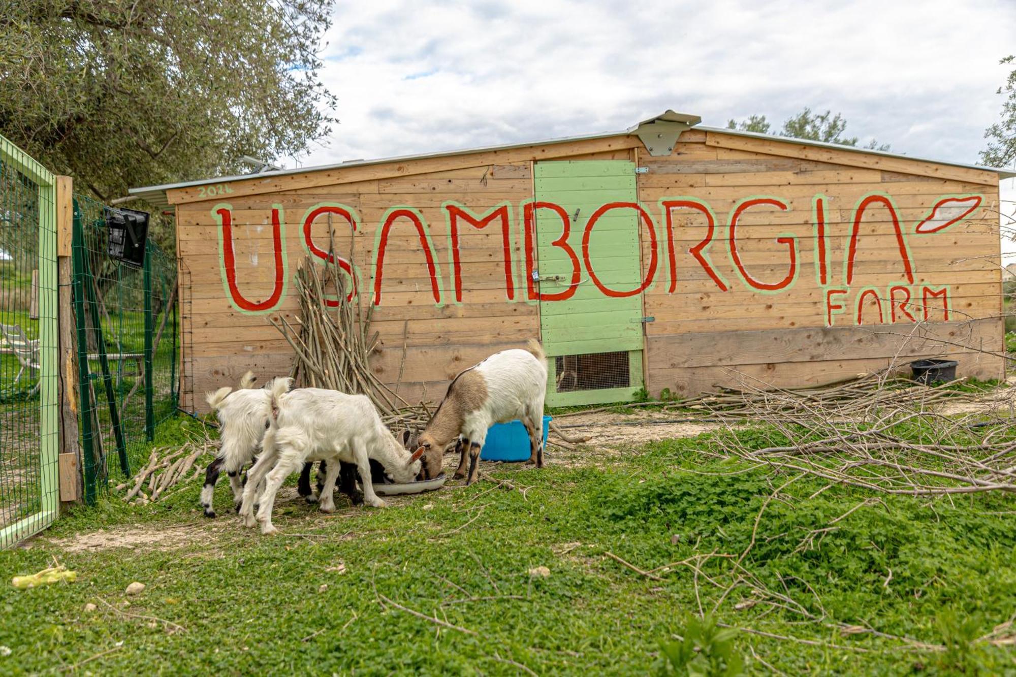 Гостевой дом Masseria Usamborgia Ното Экстерьер фото