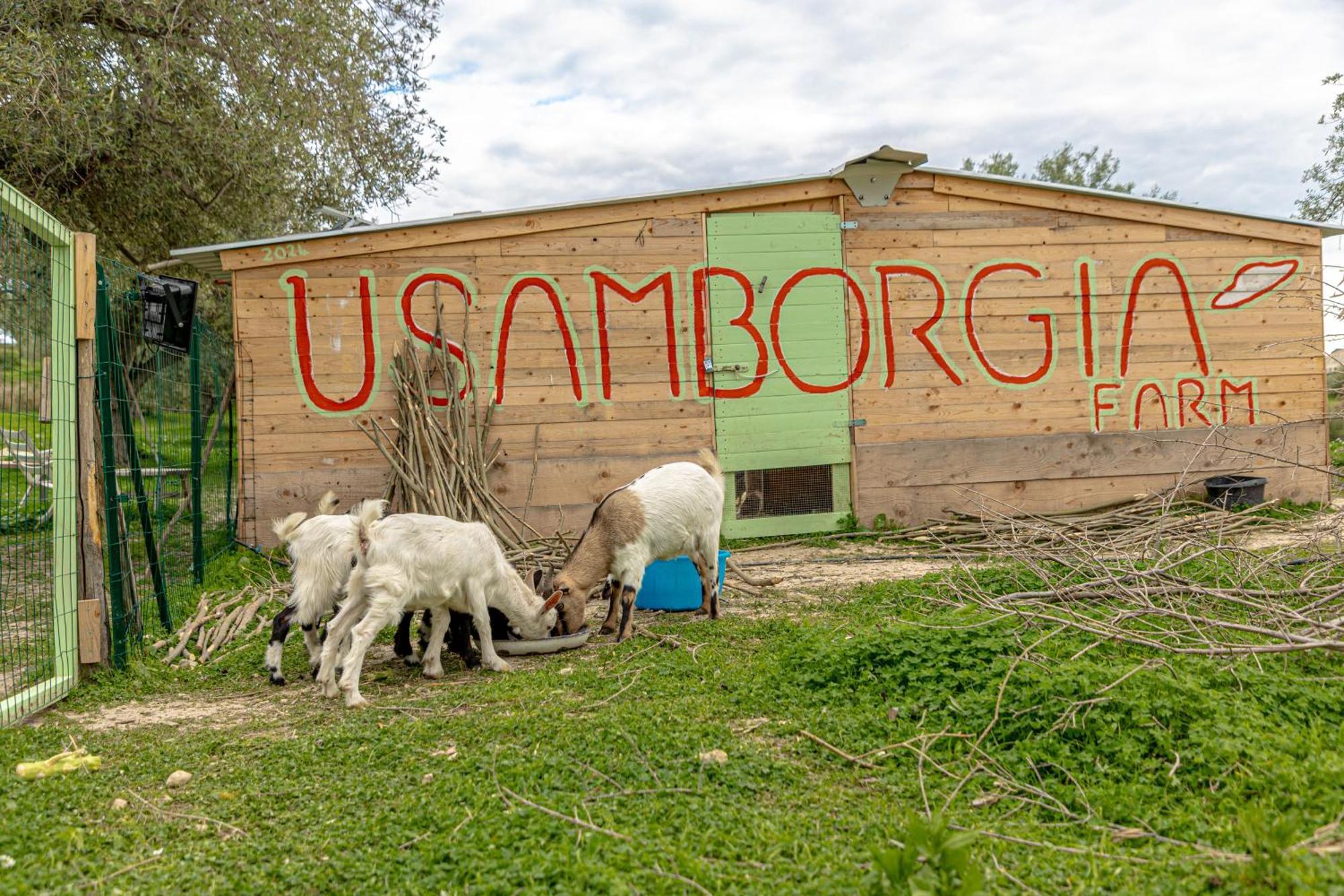 Masseria Usamborgia Ното Экстерьер фото